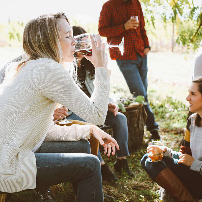 Fotografia de um grupo de amigos bebendo algumas taças de vinho tinto, ao meio-dia, em um jardim.