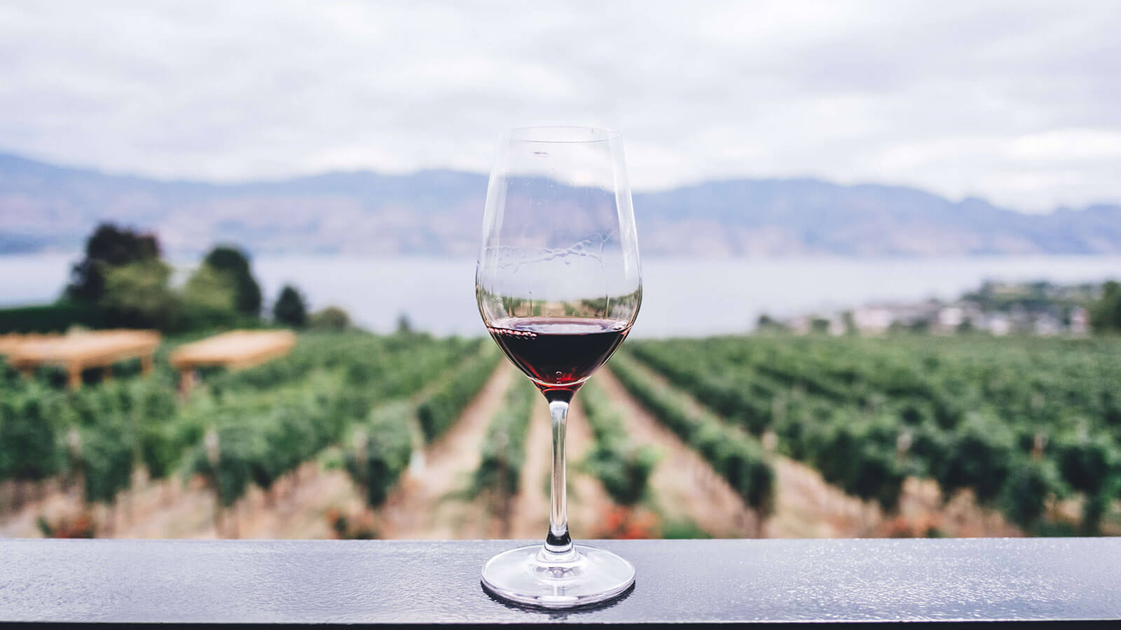 Fotografia mostrando um copo de vinho tinto em primeiro plano e uma paisagem de vinhedos e montanhas ao fundo.