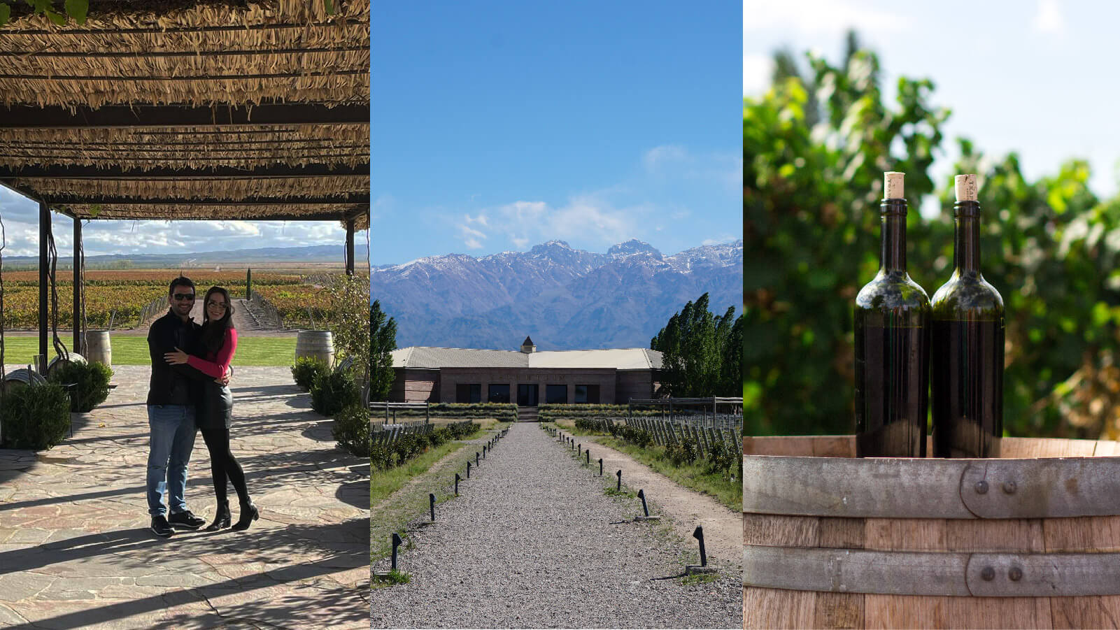 Colagem fotográfica que mostra três imagens representativas das vinícolas de Mendoza, com as diferentes atividades que podem ser realizadas ali.